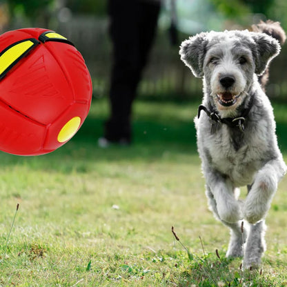 Fly Ball - Pelota Frisbee Interactiva (2x1)