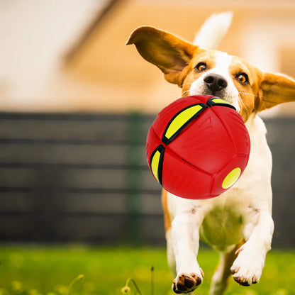 Fly Ball - Pelota Frisbee Interactiva (2x1)